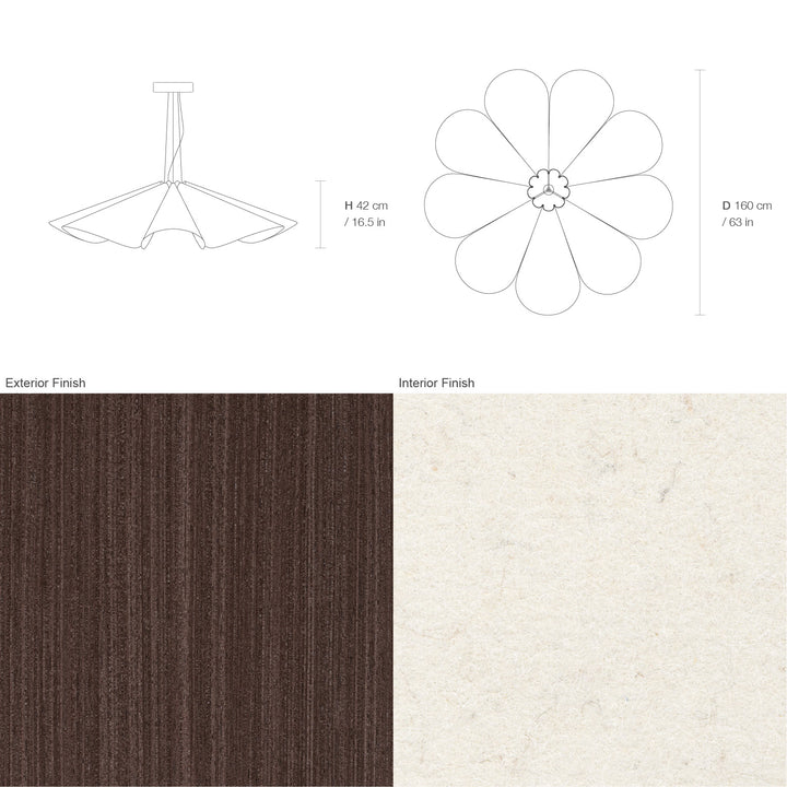 Delfina 160 Acoustic