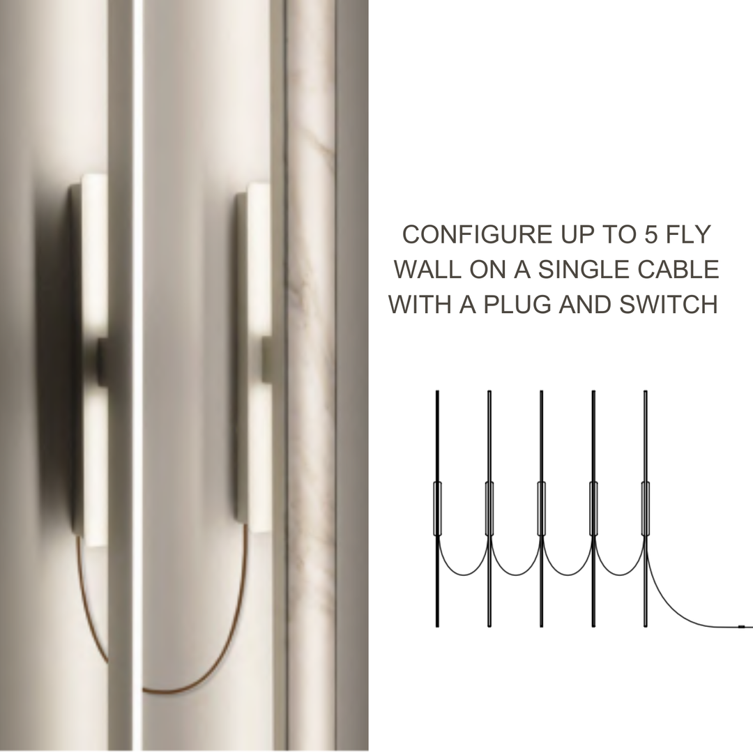 Fly Wall