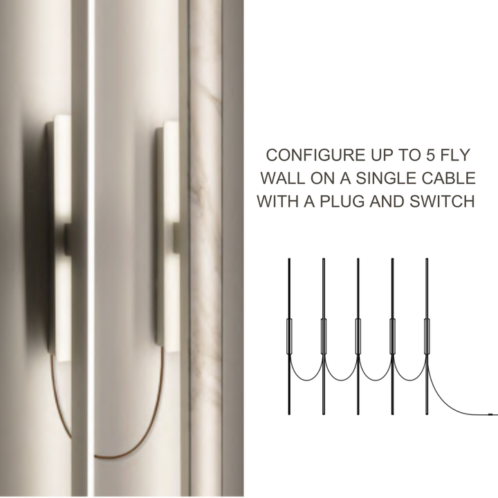 Fly Wall