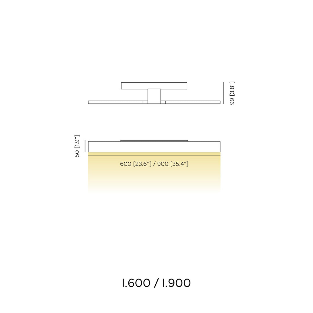 Fly Picture and Vanity Light