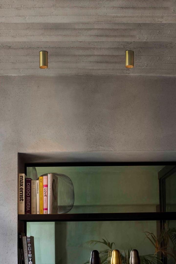 Stan Surface Mounted Downlight