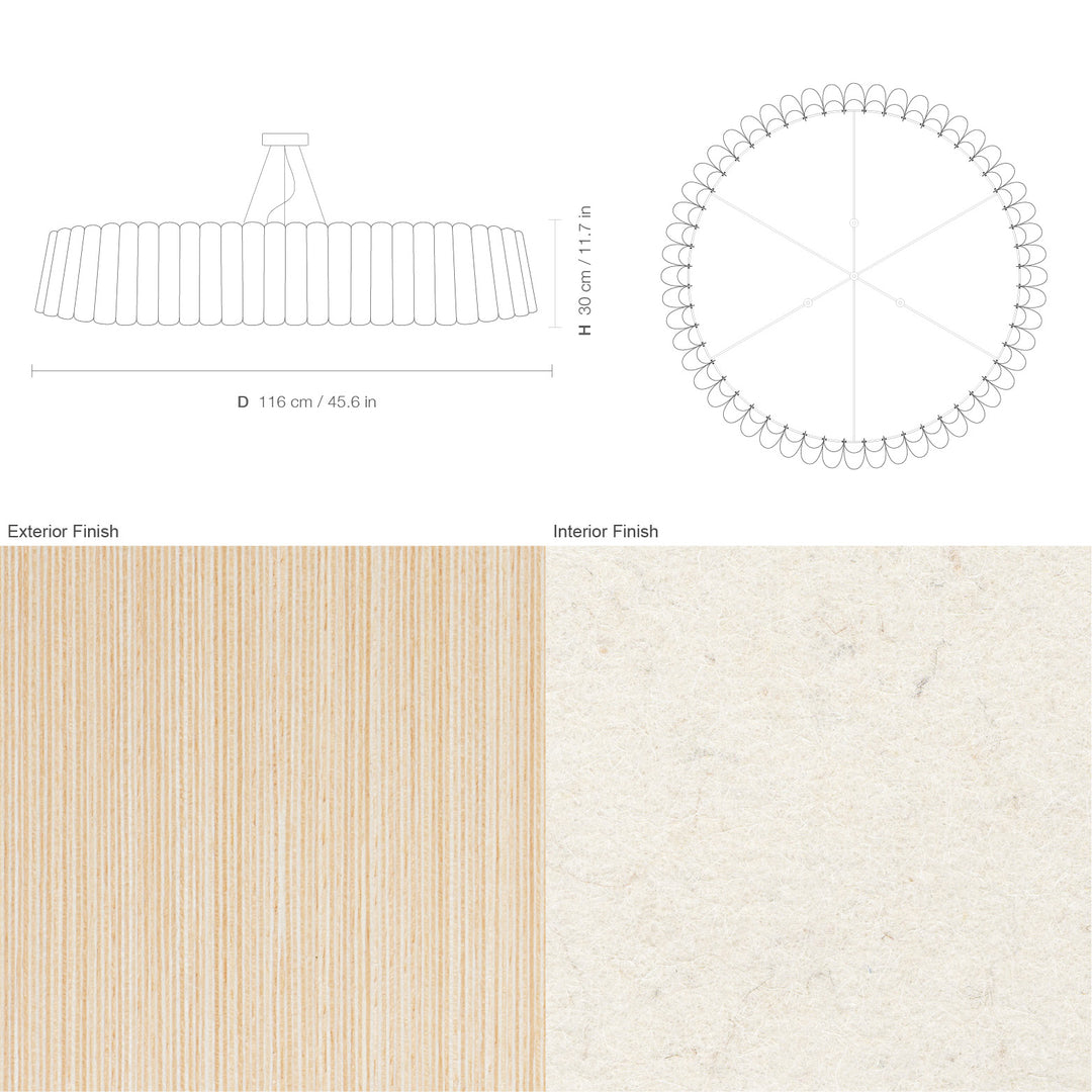 Renata 116 Acoustic