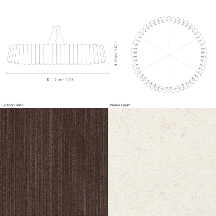 Renata 116 Acoustic