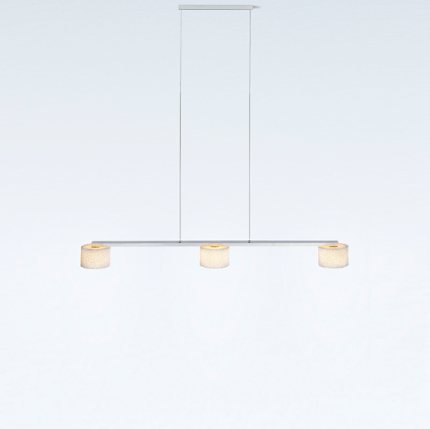 Reef Suspension