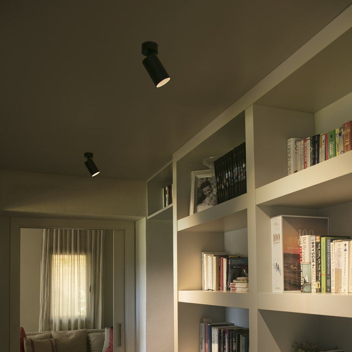 Stan Spot LED