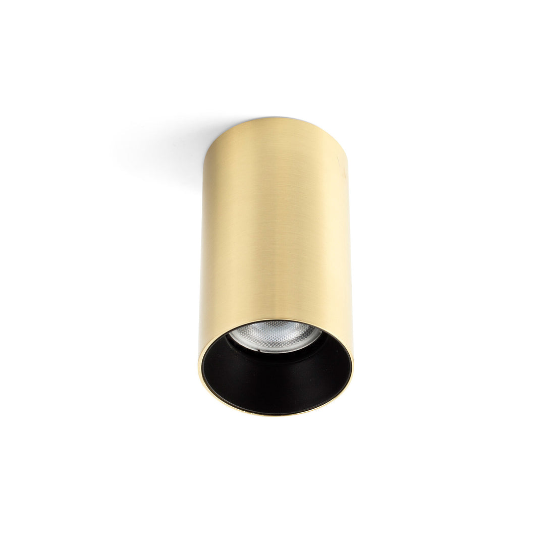 Stan Surface Mounted Downlight