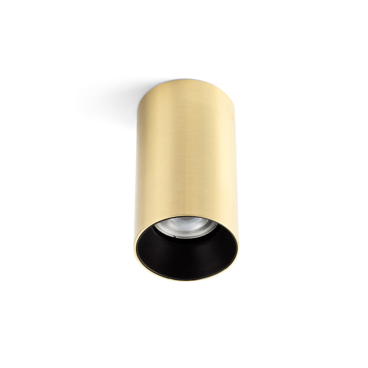 Stan Surface Mounted Downlight