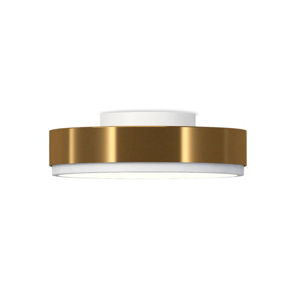 Discus Mount