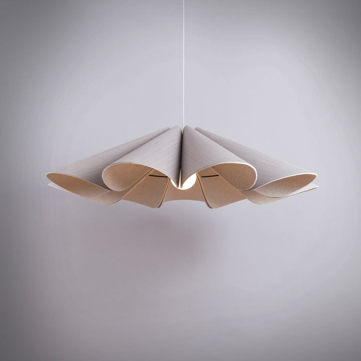 Delfina 100 Acoustic