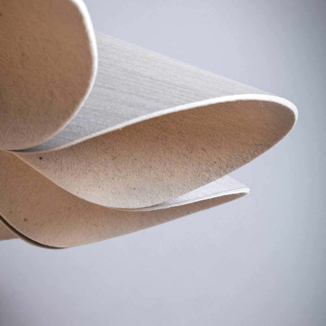 Delfina 100 Acoustic