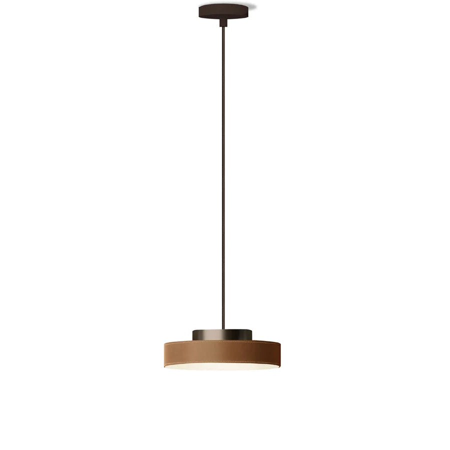 Discus Suspension