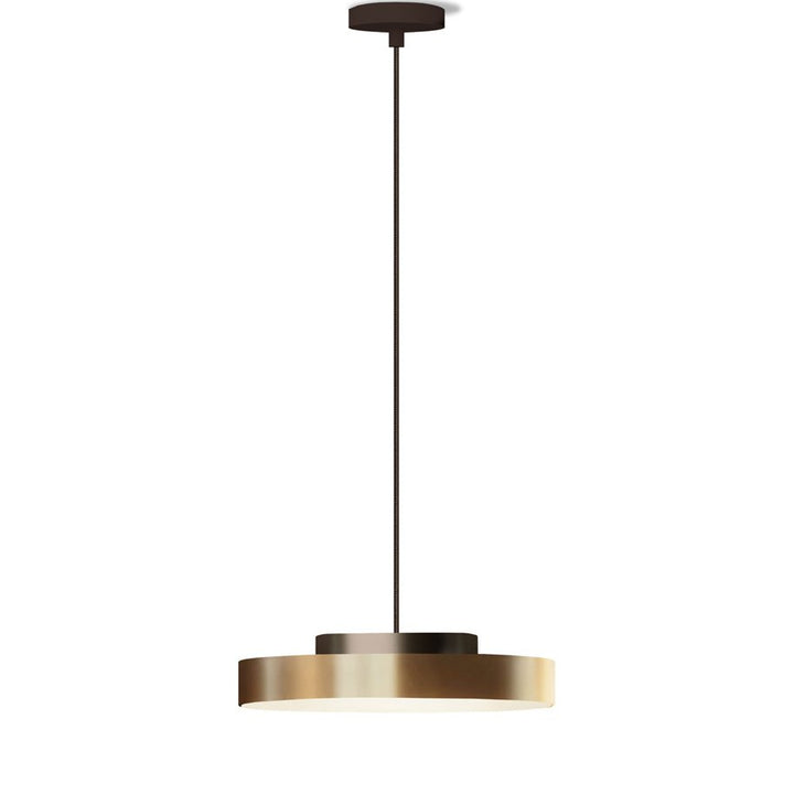 Discus Suspension
