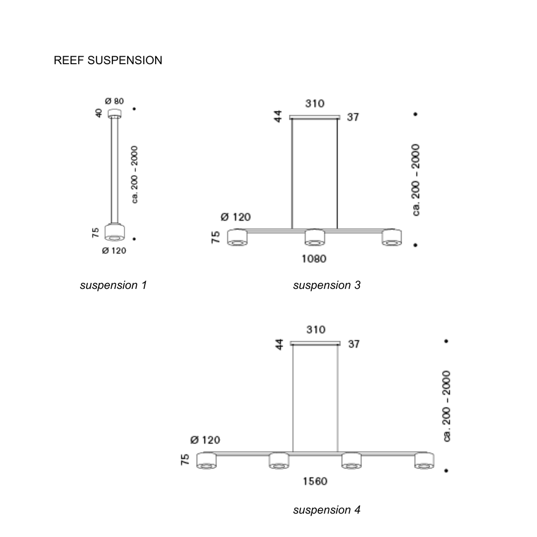 Reef Suspension
