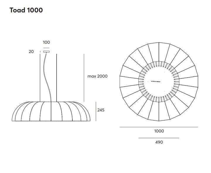 Toad LED 1000