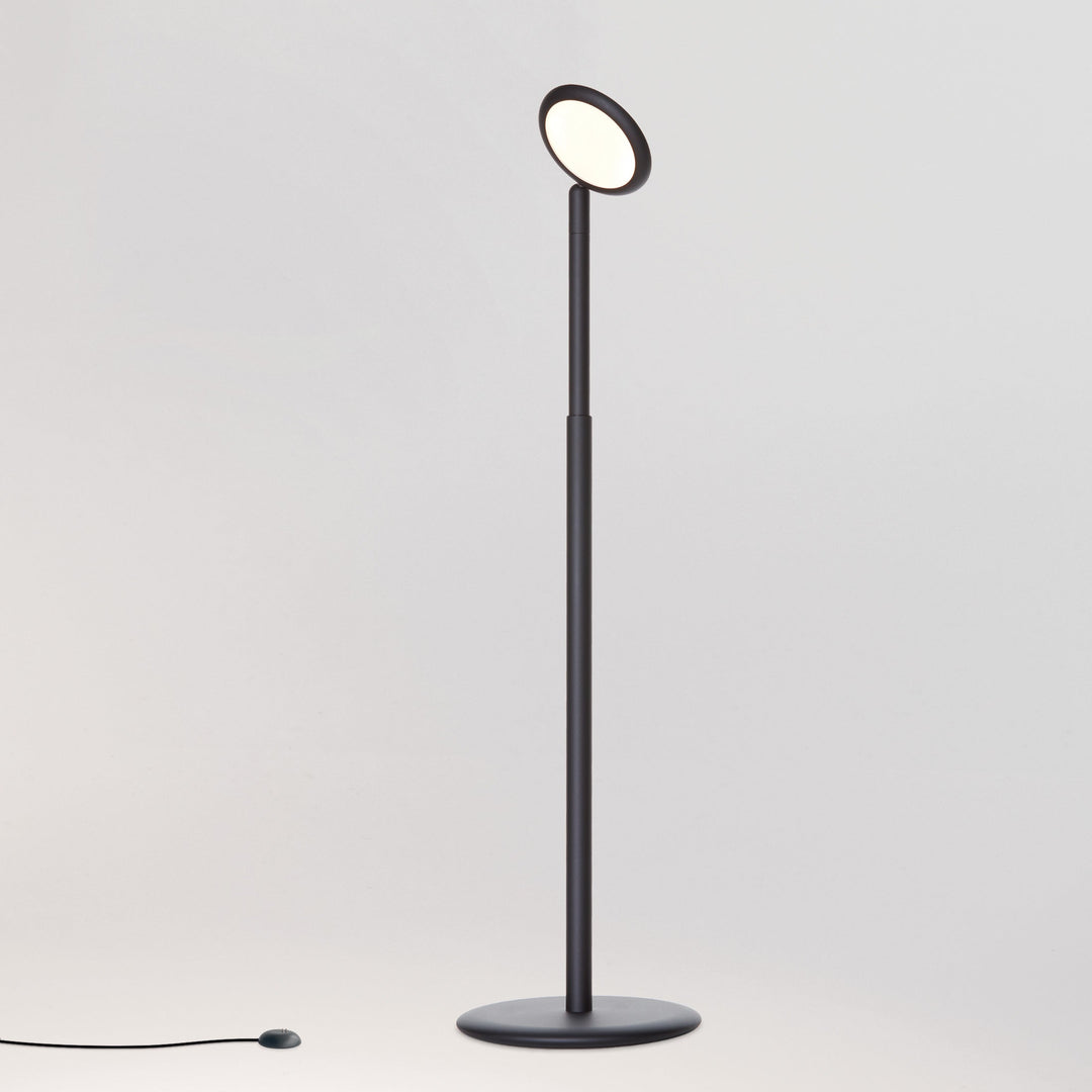 Parrot v1 Portable Floor light