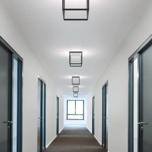 Reflex2 Ceiling